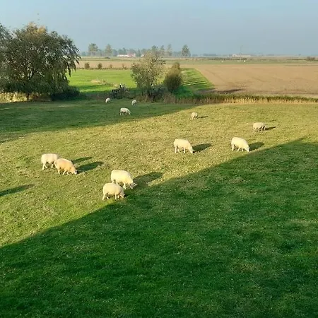 Nyaraló 't Hof Der Witte Damen