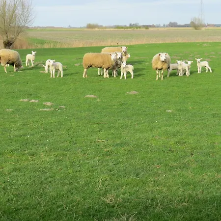 't Hof Der Witte Damen